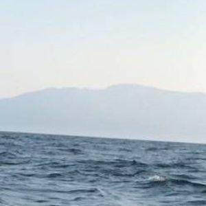 Meet your Posher, Dina